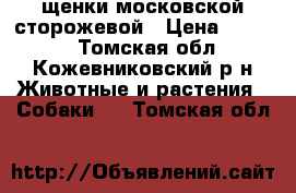 щенки московской сторожевой › Цена ­ 3 000 - Томская обл., Кожевниковский р-н Животные и растения » Собаки   . Томская обл.